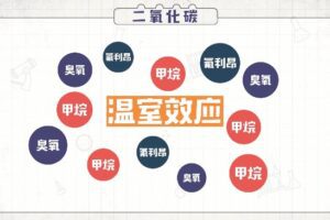 逗你学人教版初中冲刺化学大小考（完结）