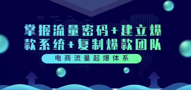 1659807263 电商流量起爆体系：掌握流量密码建立爆款系统复制爆款团队（价值599）