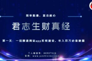 君志生财真经第一关：一招精通网站app系统建设，年入百万必备秘籍