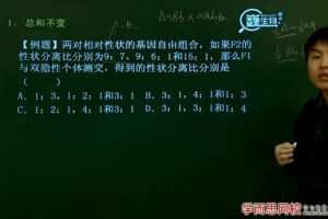 陆巍巍 高一生物必修2预习领先班（人教版）