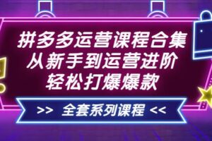 拼多多运营课程合集：从新手到运营进阶，轻松打爆爆款（全套系统课程）