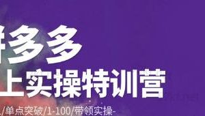 青云:拼多多运营实操特训营：从0到1/单点突破/1-100/带领实操价值2980元