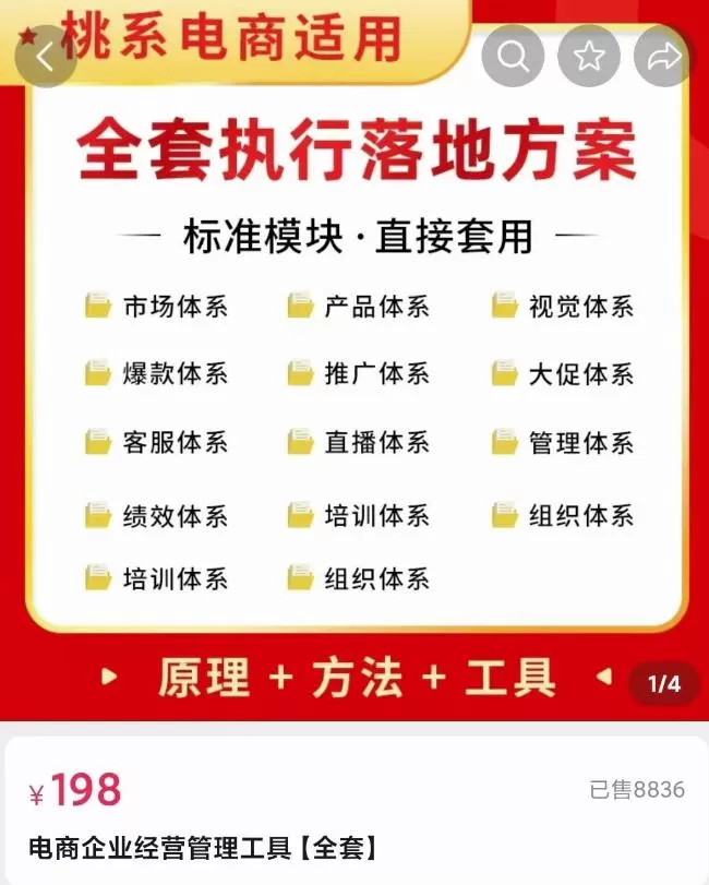 1660138987 外面卖198·电商企业经营管理工具：全套执行落地方案标准模块·直接套用