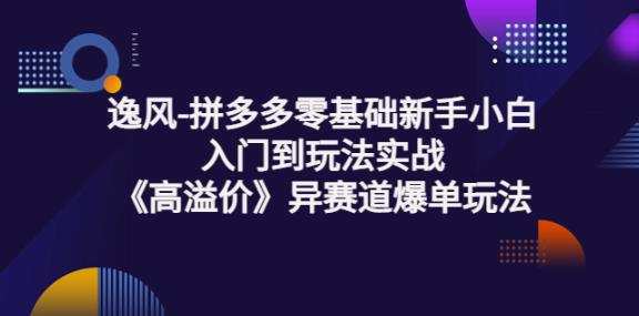 逸风-拼多多零基础新手小白入门到玩法实战《高溢价》异赛道爆单玩法实操课 1 1660139009 逸风 拼多多零基础新手小白入门到玩法实战《高溢价》异赛道爆单玩法实操课