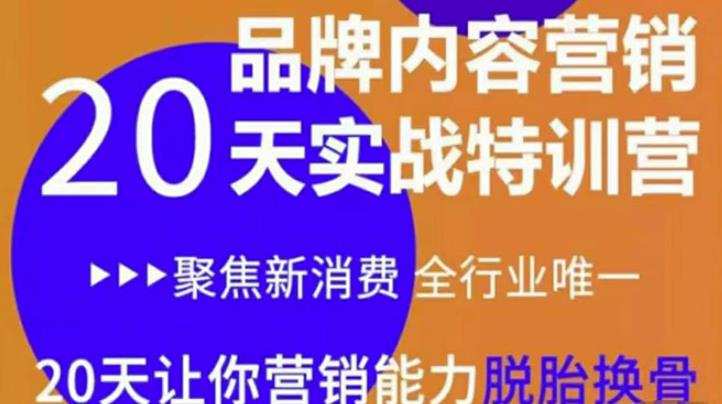 《内容营销实操特训营》20天让你营销能力脱胎换骨(价值3999) 1 1660345305 《内容营销实操特训营》20天让你营销能力脱胎换骨(价值3999)