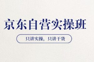 【京东自营实操班】只讲实操，只讲干货（28小时课程-共2期）价值4980