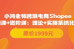 鸿老师跨境电商Shopee入门课+进阶课：理论+实操系统化教学（原价1999）