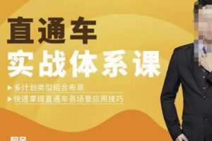 直通车实战体系课：多计划类型组合布局快速掌握直通车各场景应用技巧