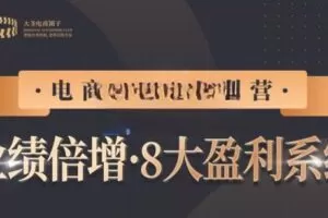 【电商TOP特训营】业绩倍增·八大赚钱系统，带你走TOP走过的路价值2980元