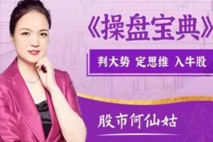 财学堂股市何仙姑何青平老师操盘宝典定牛股视频课程