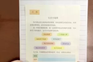 文老师四年级同步单元习作（完结）