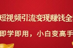 快手短视频引流变现赚钱全攻略：即学即用，小白变高手（价值980元）