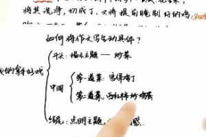 文老师六年级同步单元习作（完结）