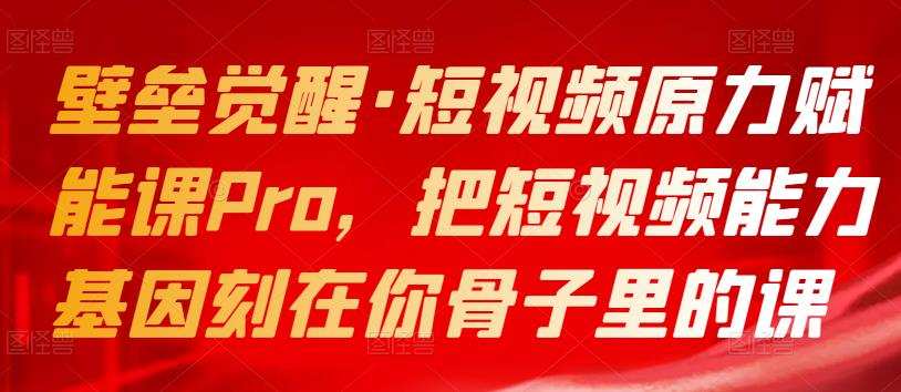 1661124229 壁垒觉醒·短视频原力赋能课Pro，把短视频能力基因刻在你骨子里的课