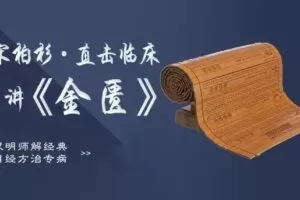 灵兰 宋柏杉·直击临床讲金匮