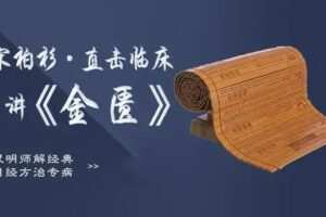 灵兰 宋柏杉·直击临床讲金匮