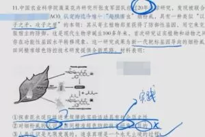 腾讯课堂2022高考政治马宇轩三轮百日冲刺——押题模考春季直播