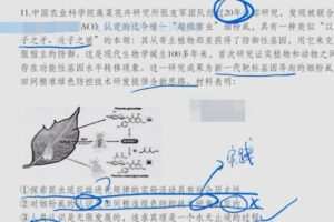 腾讯课堂2022高考政治马宇轩三轮百日冲刺——押题模考春季直播