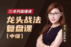 毛毛老师龙头战法复盘课（中级）