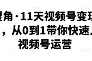 好望角·11天视频号变现训练营，从0到1带你快速入门视频号运营