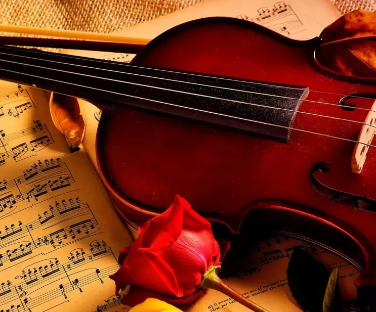 1661357593 小提琴教材PDF