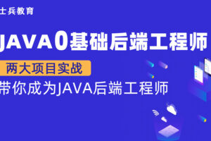 【金牌大课】马老师 Java零基础后端工程师（P5）