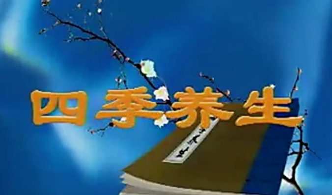 四季养生(视频·全36集) 1 1661511682 四季养生(视频·全36集)