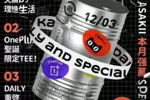 王猛奇版式设计第30期2020年11月结课【画质高清有素材】