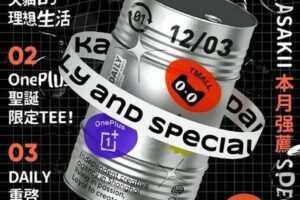 王猛奇版式设计第30期2020年11月结课【画质高清有素材】
