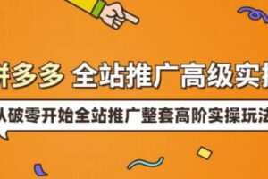 拼多多全站推广高级实操：从破零开始全站推广整套高阶实操玩法