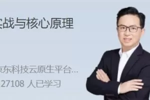 RPC 实战与核心原理 高效解决分布式系统的通信难题