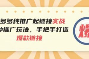 拼多多纯推广起链接实战：多种推广玩法，手把手打造爆款链接