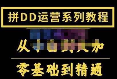 2022全套拼多多核心实操课程,从0-1轻松起链接实战,低投入高产出运作店铺 1 1661980651 2022全套拼多多核心实操课程,从0 1轻松起链接实战,低投入高产出运作店铺