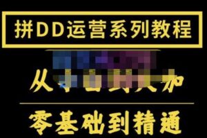 2022全套拼多多核心实操课程，从0-1轻松起链接实战，低投入高产出运作店铺