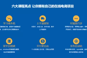 从0开始 独立完成企业级Java电商网站服务端开发