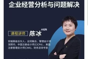 企业经营分析与问题解决