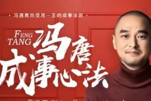 冯唐·成事心法，价值258元
