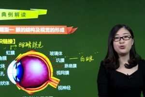 常凤英 初一生物人教版下册