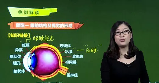 1651141359 常凤英 初一生物人教版下册