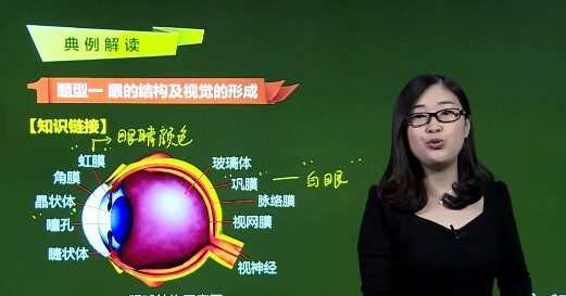 1651141359 常凤英 初一生物人教版下册