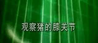 初中生物实验视频 1 1651231027 初中生物实验视频