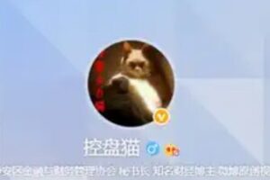 投资研习社 控盘猫基本面擒龙研修班