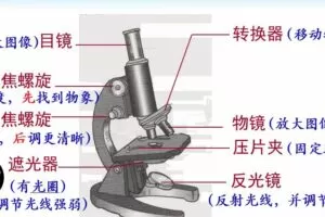 中考生物复习PPT课件
