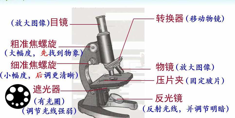 中考生物复习Ppt课件 1 1652134504 中考生物复习Ppt课件