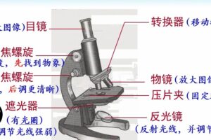 中考生物复习PPT课件