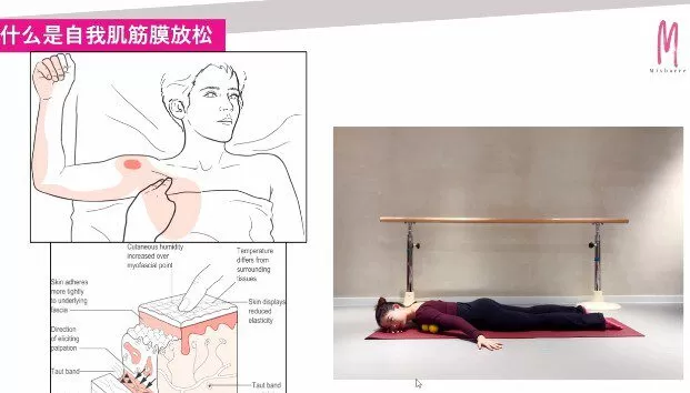 重获柔韧度2.0 1 1652134506 重获柔韧度2.0