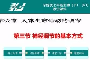 初中生物七年级下册人教版配套课件资料