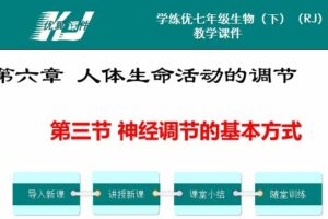 初中生物七年级下册人教版配套课件资料