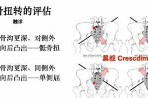 王昊全新体态矫正-体态评估与康复