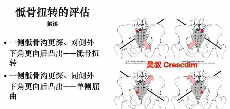 王昊全新体态矫正-体态评估与康复 1 1652206865 王昊全新体态矫正 体态评估与康复